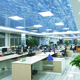 Dongguan Zhicheng Electrical Appliance Co., Ltd.