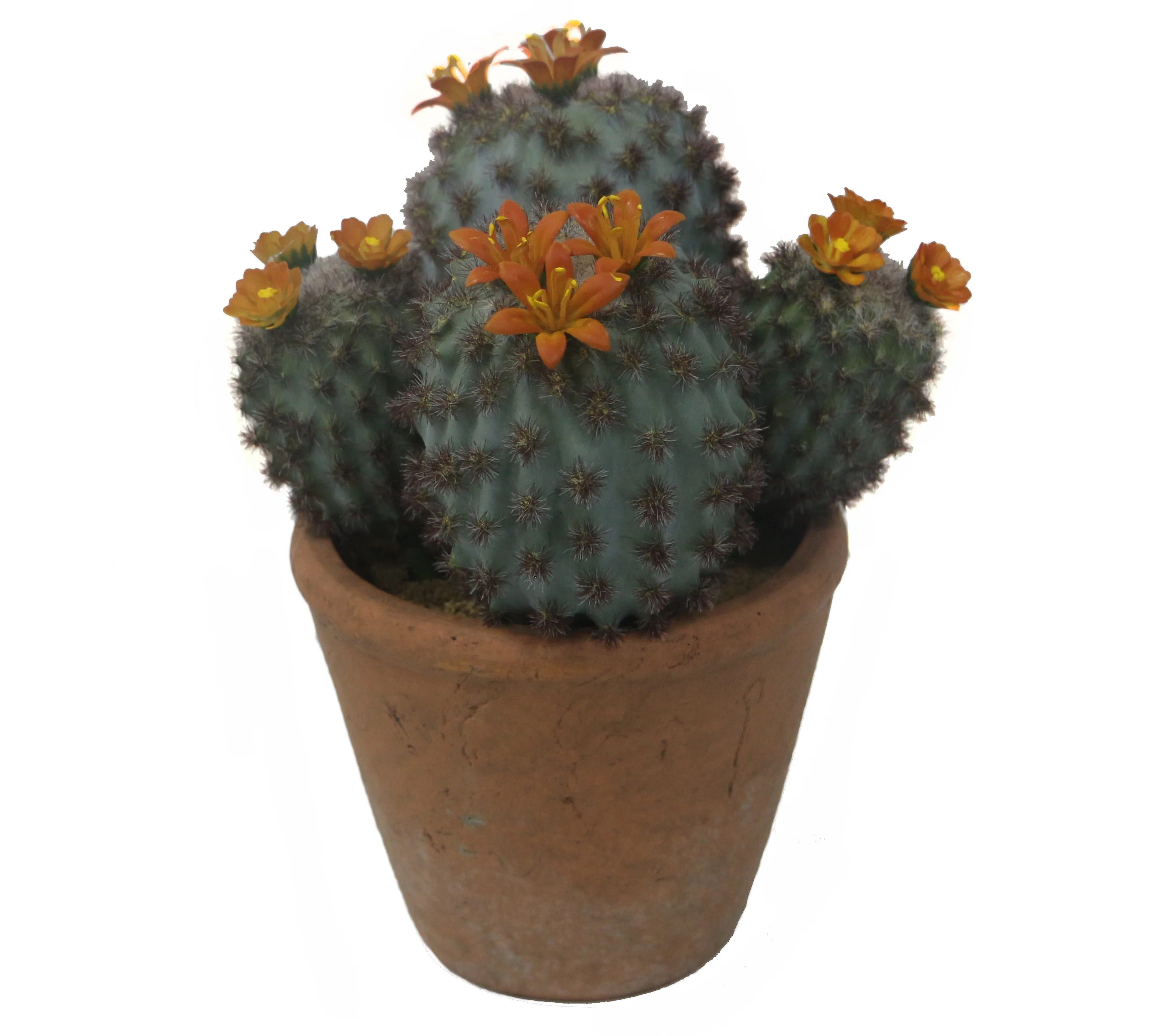 装饰圆形人造仙人掌/人造植物 6.1英寸与粘土陶瓷锅