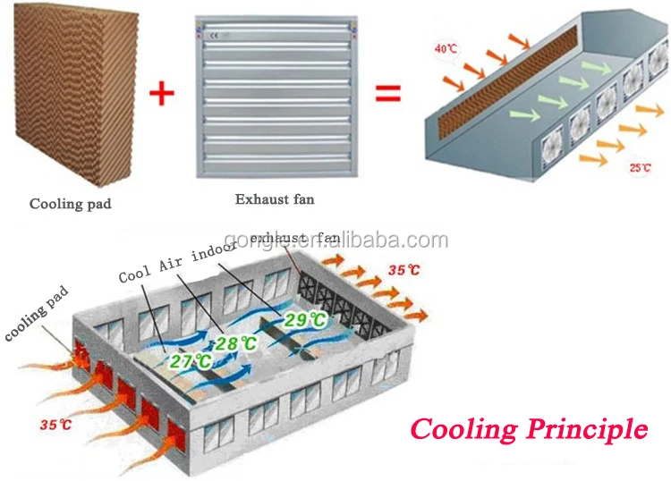 Greenhouse Evaporative Cooler Fan Pad Cooling System In Greenhouse