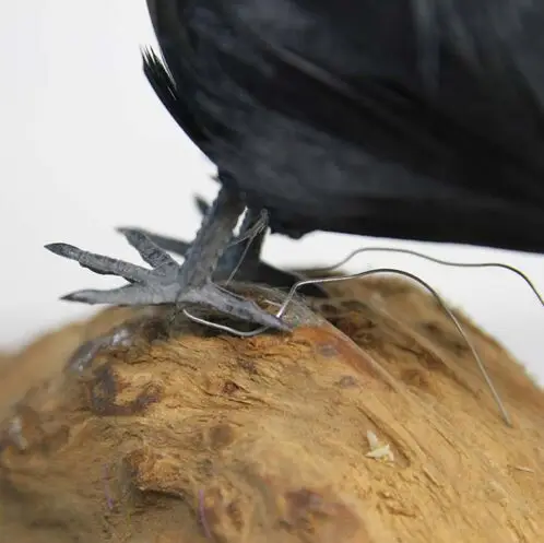 Artificial Crow Bird Crafts Realistic Party Halloween Art Feather Prop Raven