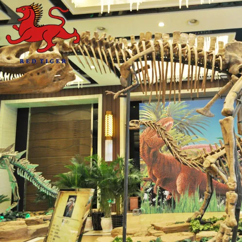 Dinosaur Skeleton Fossils Factory for Sale