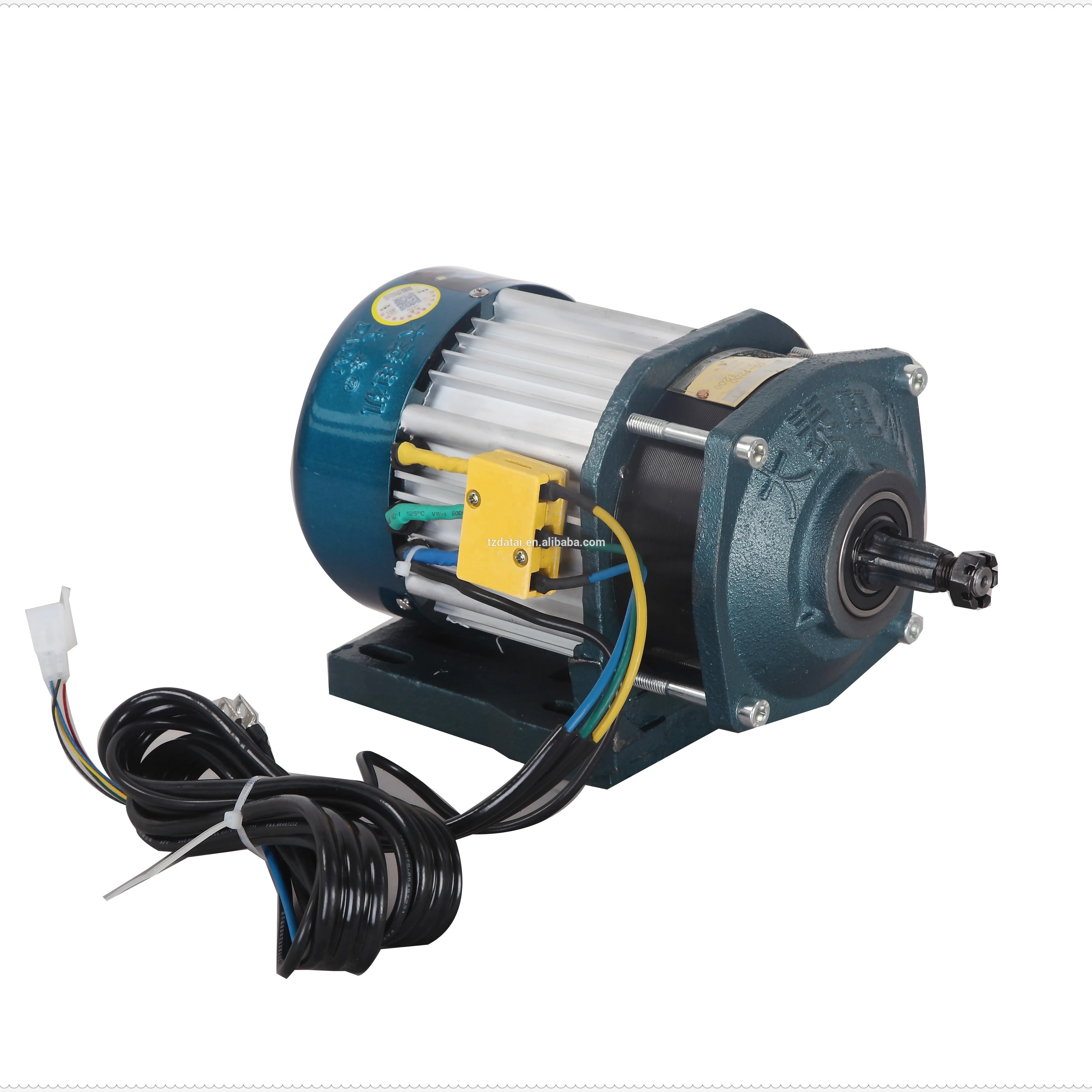 Electric Motor With Reduction Gear Drive