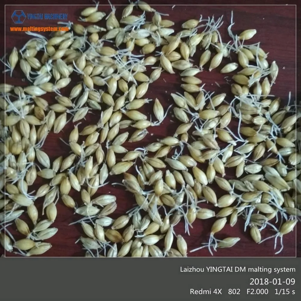 Yingtai Promalting System Tower Type Malting Barley Germinating Equipment