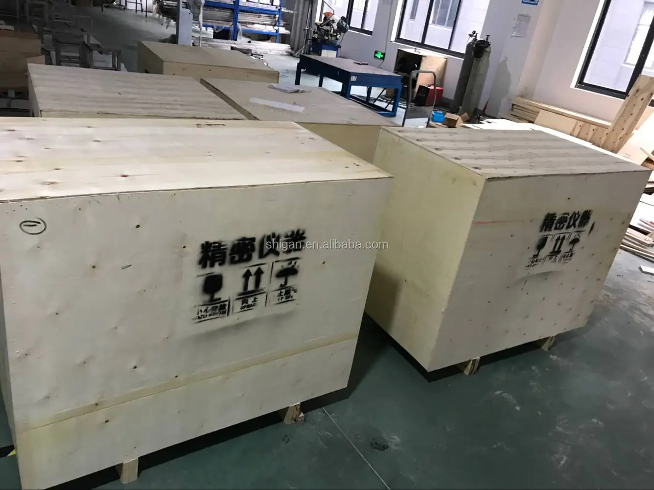 China Shanghai Static Automatic Weighing Roller Scale with Printer Checkweigher