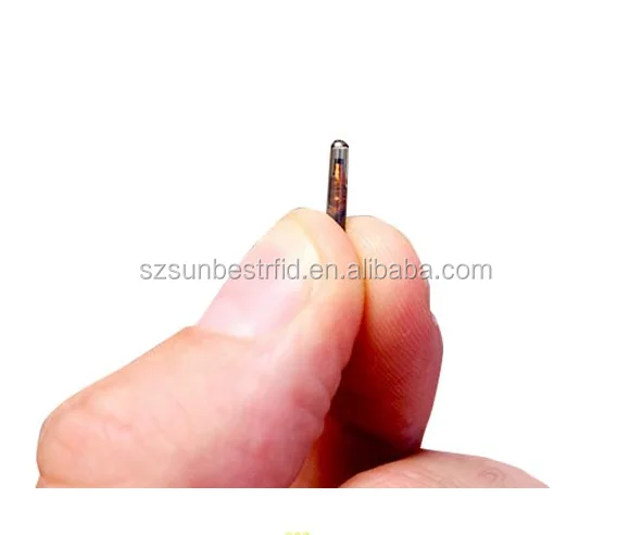 Животных RFID тег 134 2 кГц EM4305 имплантируемые идентификации животных микрочип стеклянный колпачок для рыб/кошка/собака/овец/коз