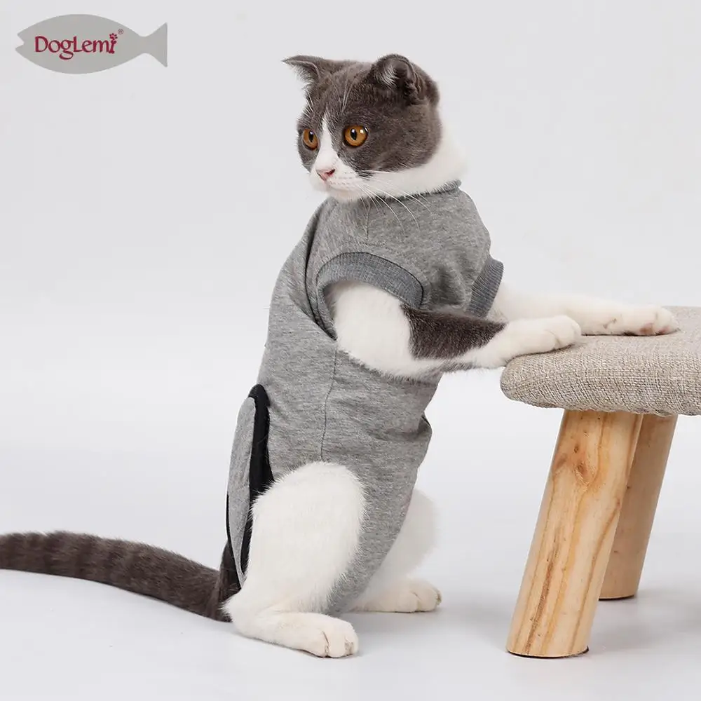 Cat Recovery Suit - Alternative to E Collar After Surgery, image size:1000x1000