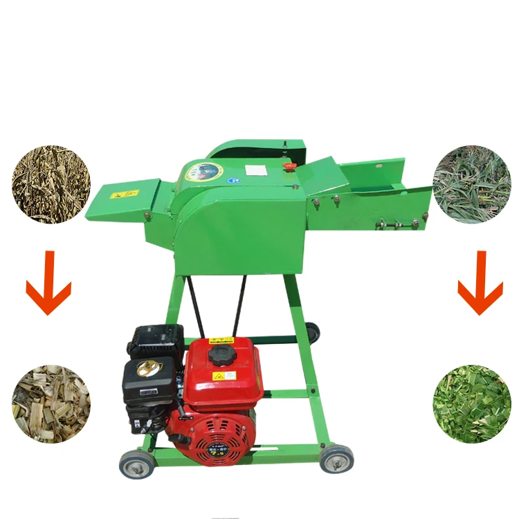 Chaff Cutter Price List in Kenya Silage Cutter Grass Shredder Cow Grass Cutting Machine Poultry Feed Machine for Sale