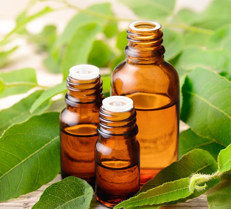 high quality pure nictural lemon eucalyptus oil - buy high