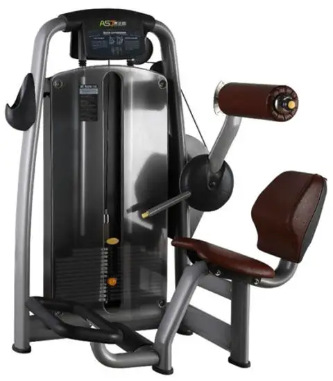 lower back workout equipment