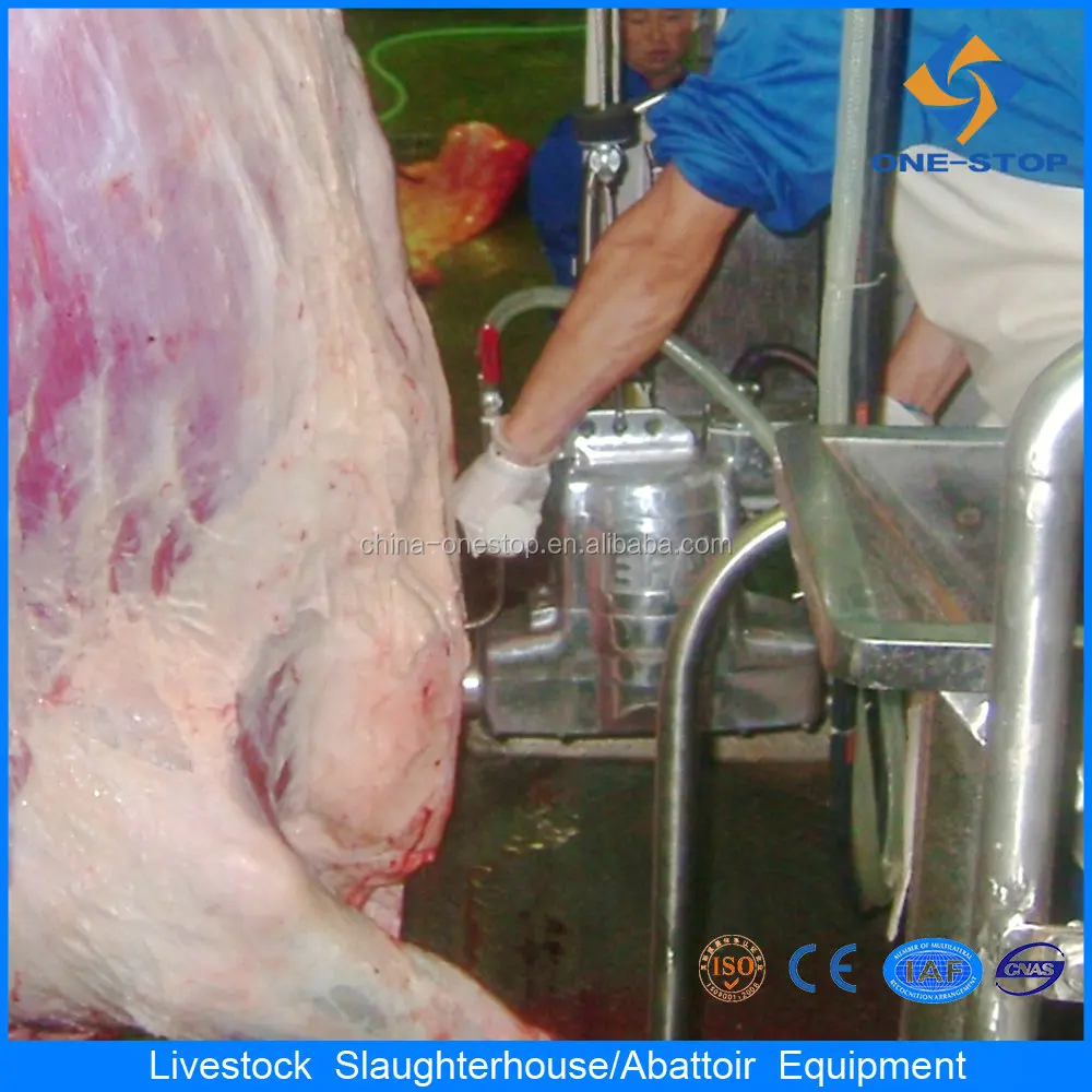 Belt type beef bone cutting machine
