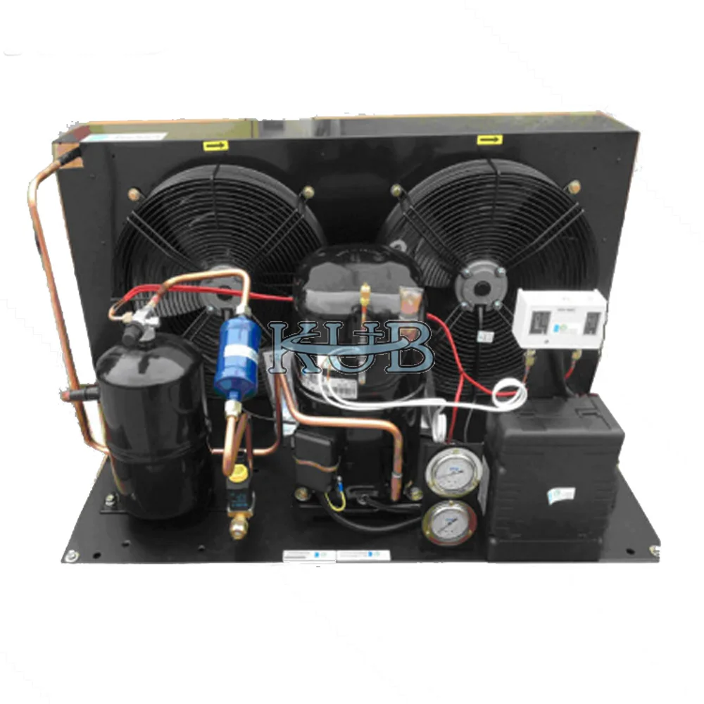 Condensing Unit for Cold Room Storage TAG2516ZBR R404A Compressor 4HP Low Temperature Cold Room air Cooled Condensing Unit