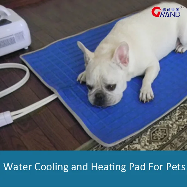 heated puppy pad