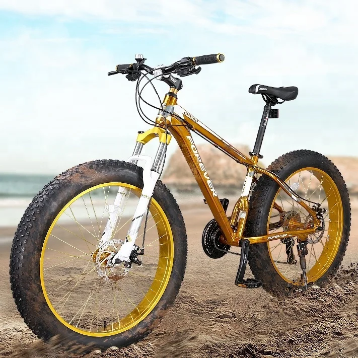 giant momentum fat bike