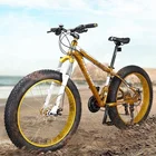 fat tyre cycle online