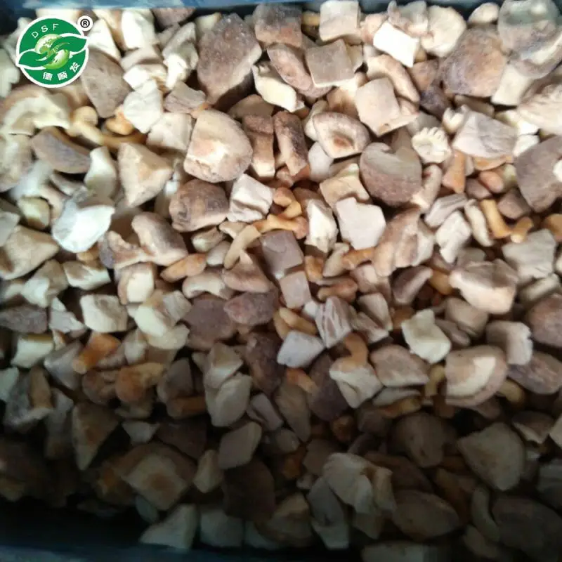 Standard exported packing pass KOSHER purchase iqf mushrooms mixed