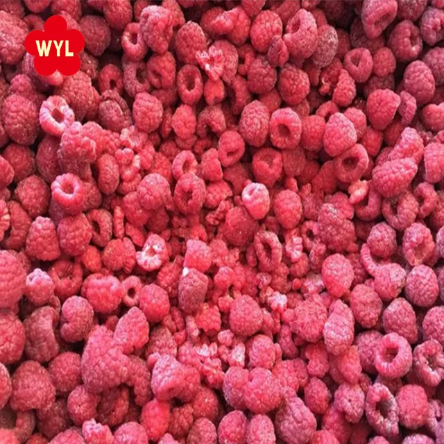 High Quality New Crop IQF Frozen Raspberries Water Preserved Raspberry Fruit for Wholesale and Retail in Bulk supplier