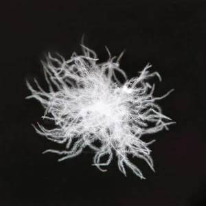 High Quality Machine Washable Oeko-Tex Standard 100 White Goose Down Goose Down 90% Goose Down Filling