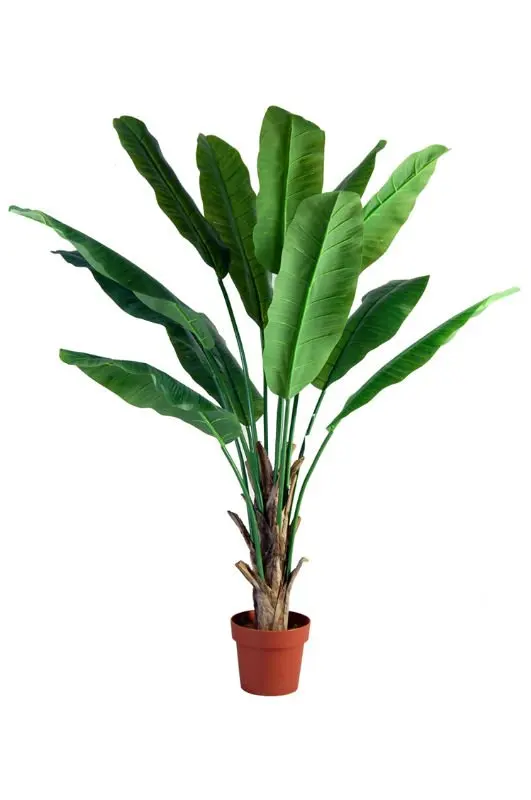 Buy Plants,Tropical Plants,Artificial 