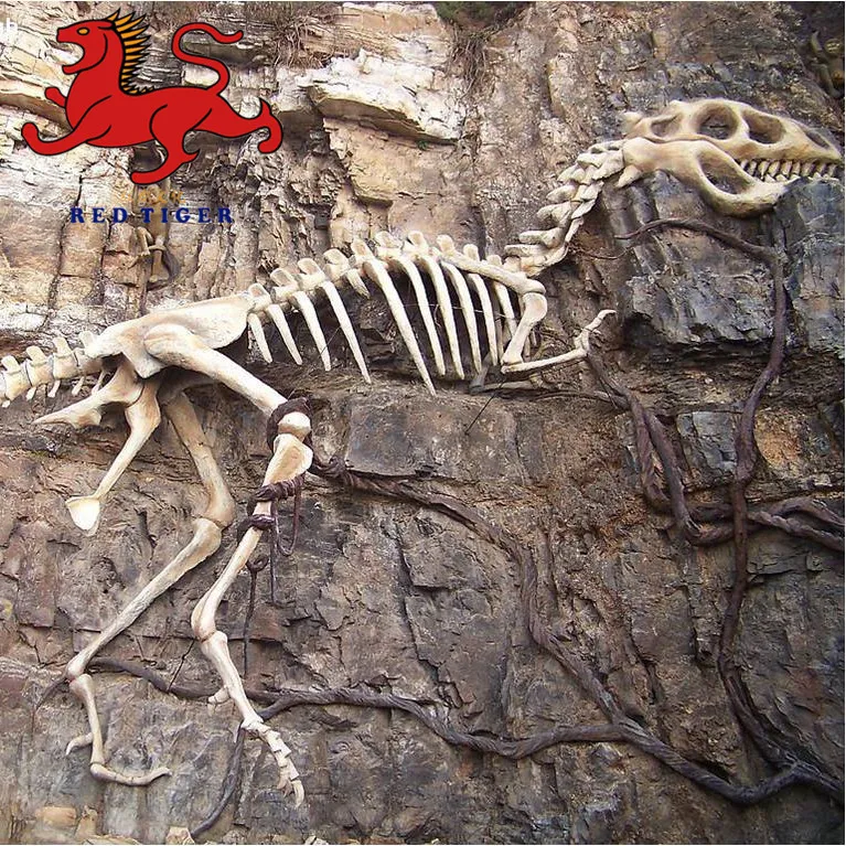 Dinosaur Skeleton Fossils Factory for Sale