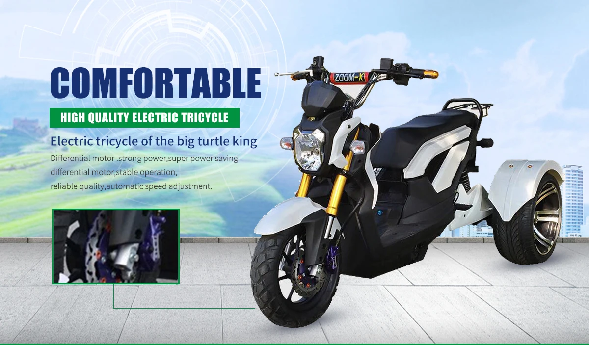 Motorcycle Recshaw The New Listing Rikshaw Rickshaw Reverse Recumbent Electric Motorcycle ...