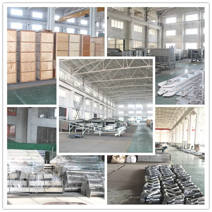 Cow slaughterhouse with meat processing and boning machines