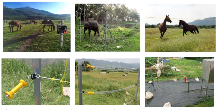 Stainless Steel Electric Fence Gate Spring for Farm Fence