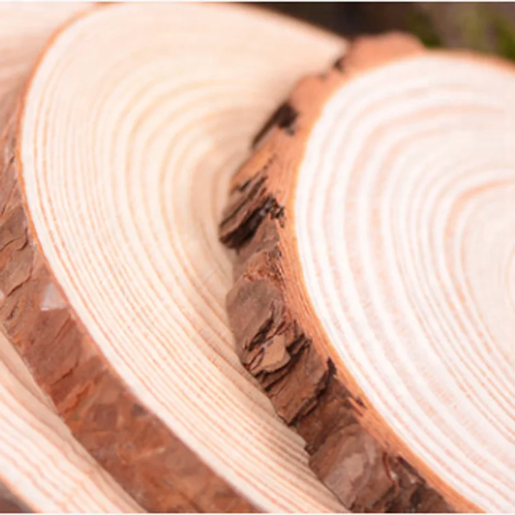 Wholesale OLYCRAFT 50Pcs Unfinished Natural Wood Slices Burlywood
