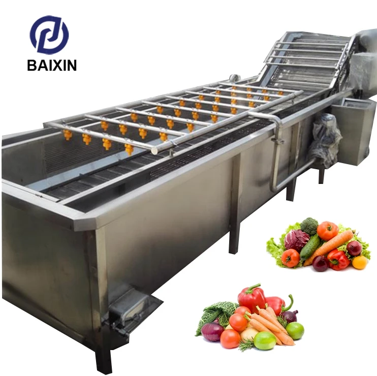 Industrial 1000kg/H Onion Cabbage Vegetable Washer Machine Fruit