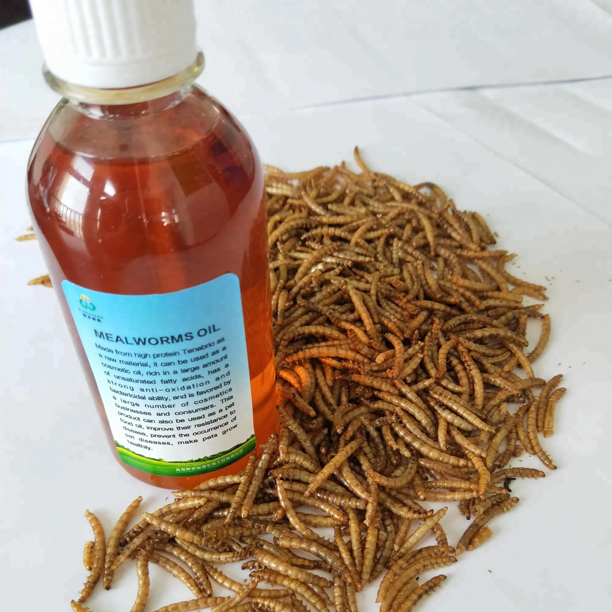 Dried Mealworm Oil for Special Pet Food Oil Worm Oil - China Dried  Mealworms Oil, Dog Food