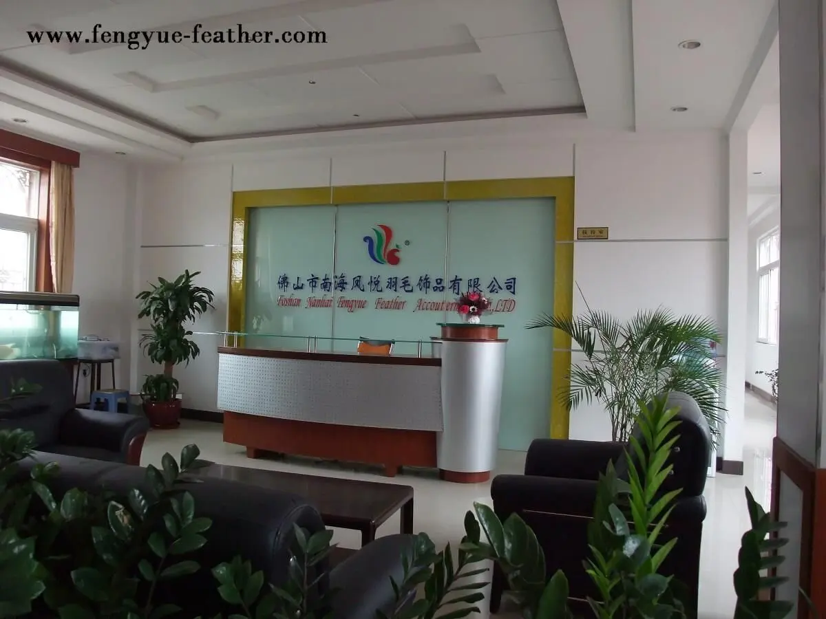 Guangzhou Boya Feather Accouterment Limited Company 2