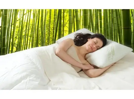 Miracle Bamboo Pillow