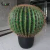 simulation color