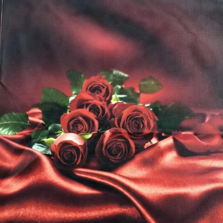 
100% полиэстер, трикотаж: 110gsm Sublimation баннер, флаг ткань 