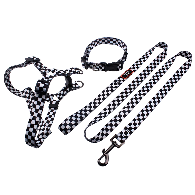 Qqpets Sublimation Design Dog Collar And Leash Set Custom Personalized