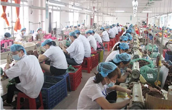 Anhui RON.VE.XIN International Trade Co., Ltd. 2
