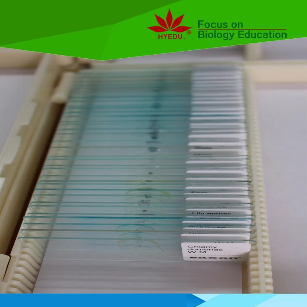 Индивидуальные недорогие слайды rotifer w m для приготовления микроскопа