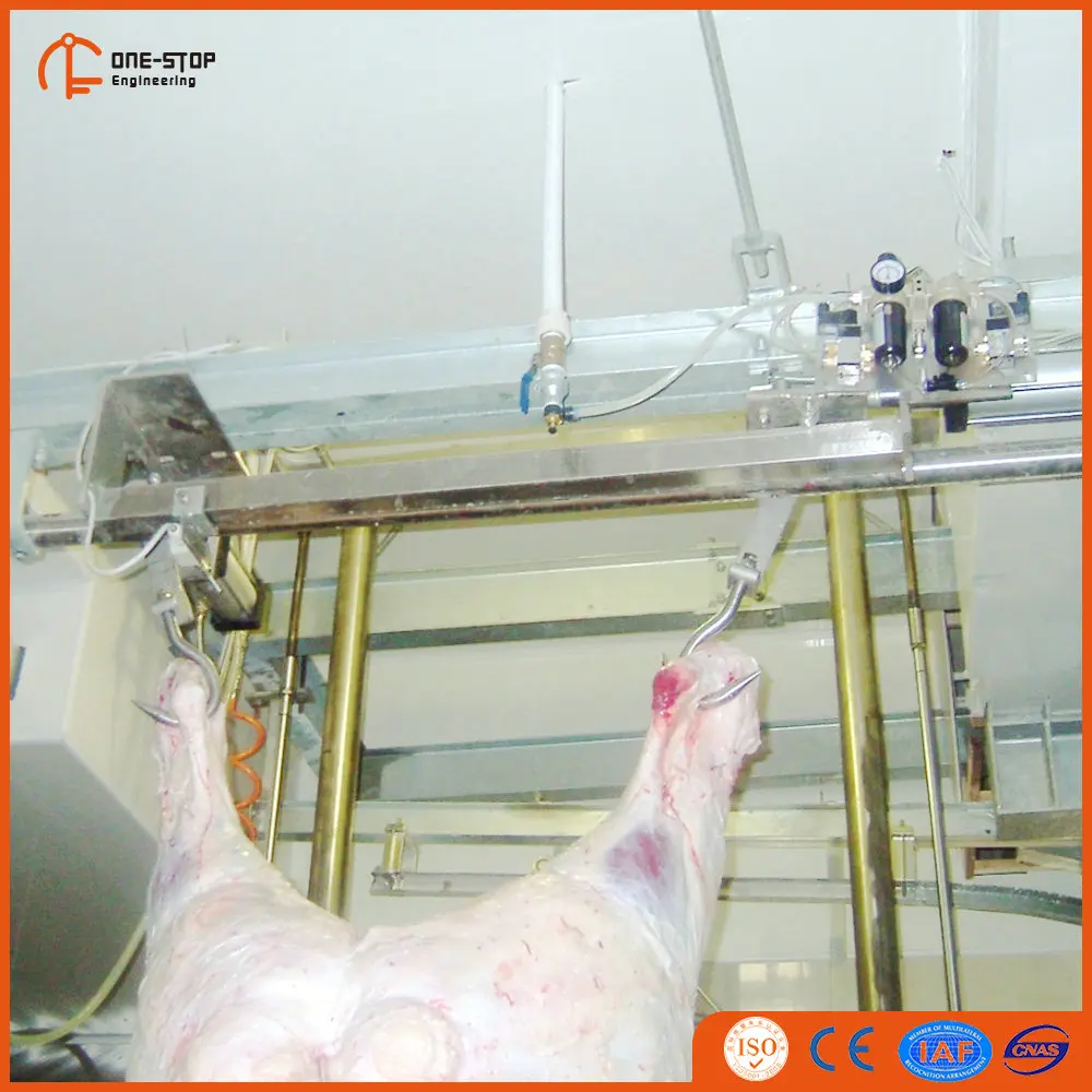 jarvis buster VI electronic meat band saw for pig slaughterhouse for sale