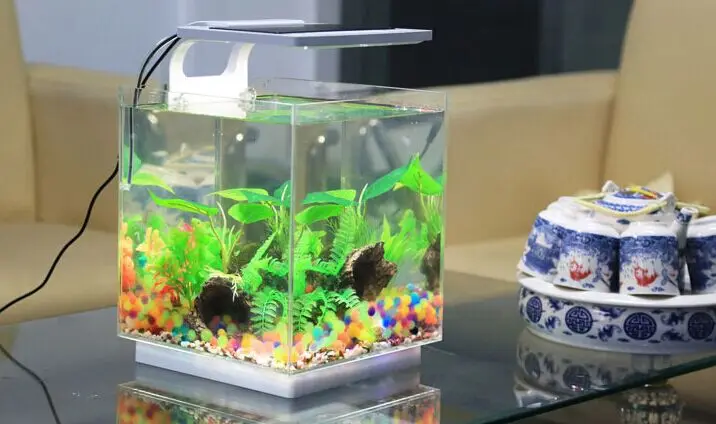 アクリル水槽、キキ。 アクリル水槽、キキ。 コトブキ工芸 寿工芸 水槽セット クリスタル200ーB