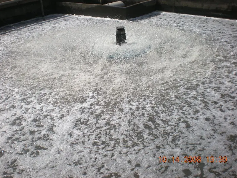 SAR Surface Aerator in Taiwan Wastewater Treatment Plant