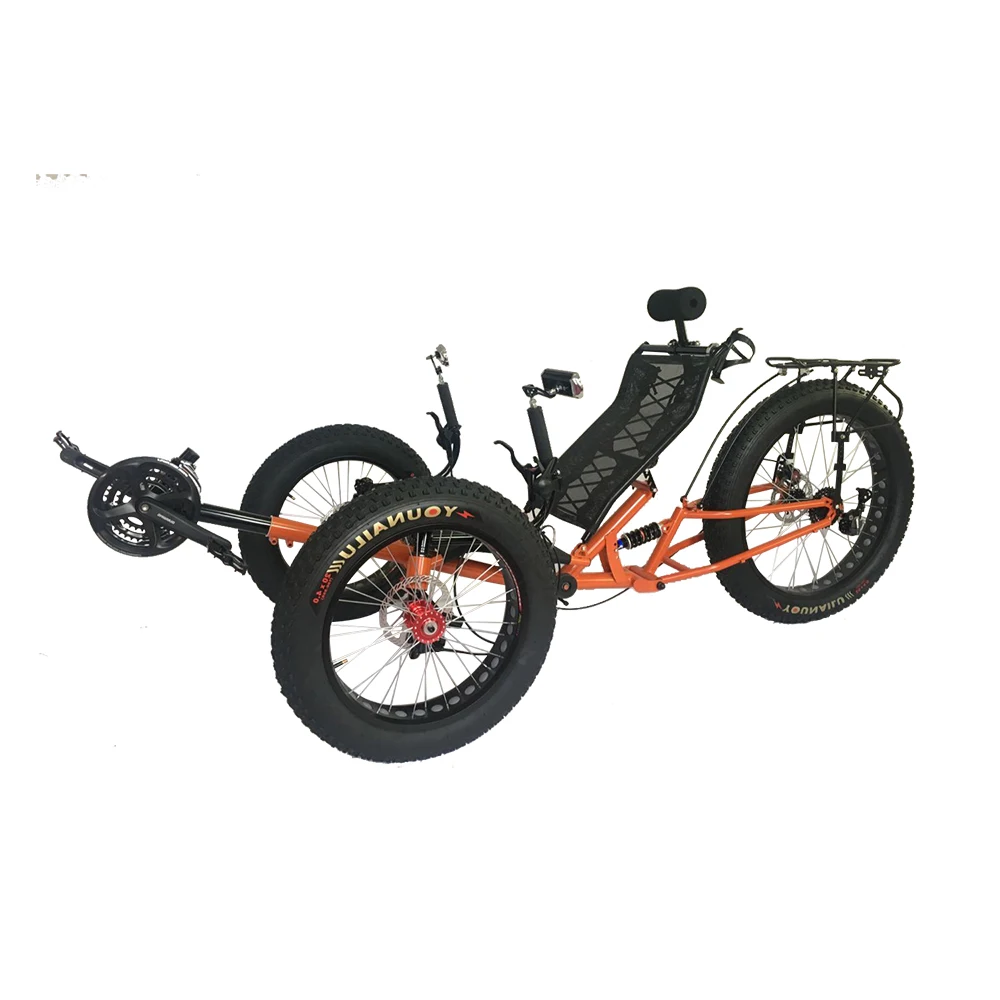 tadpole recumbent bike