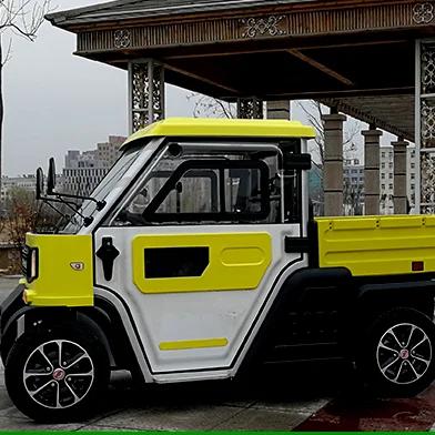 New energy electric vehicle adult two-seat pickup electric van mini sightseeing four-wheel electric car