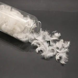 Factory Price Soft Warm White Duck Feather Pluma Machine Washable Down Duck Down Feather for Home Textiles