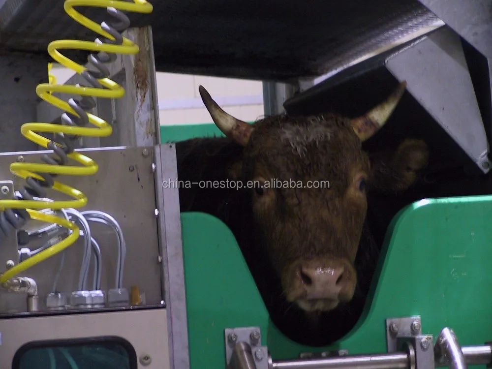Religious halal cattle rotary kill box for slaughterhouses