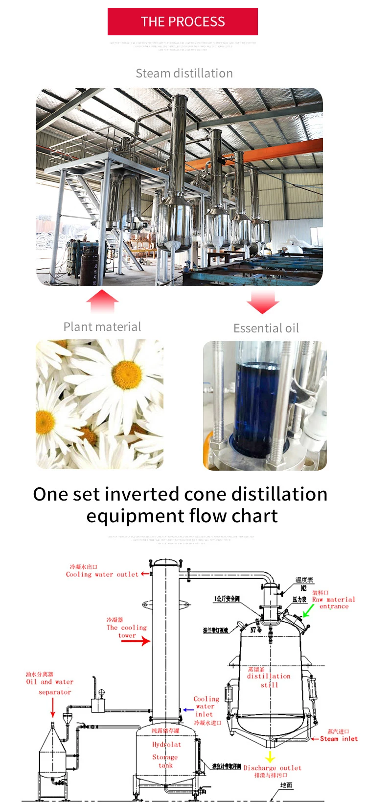 Essential oils extracted by steam distillation фото 13