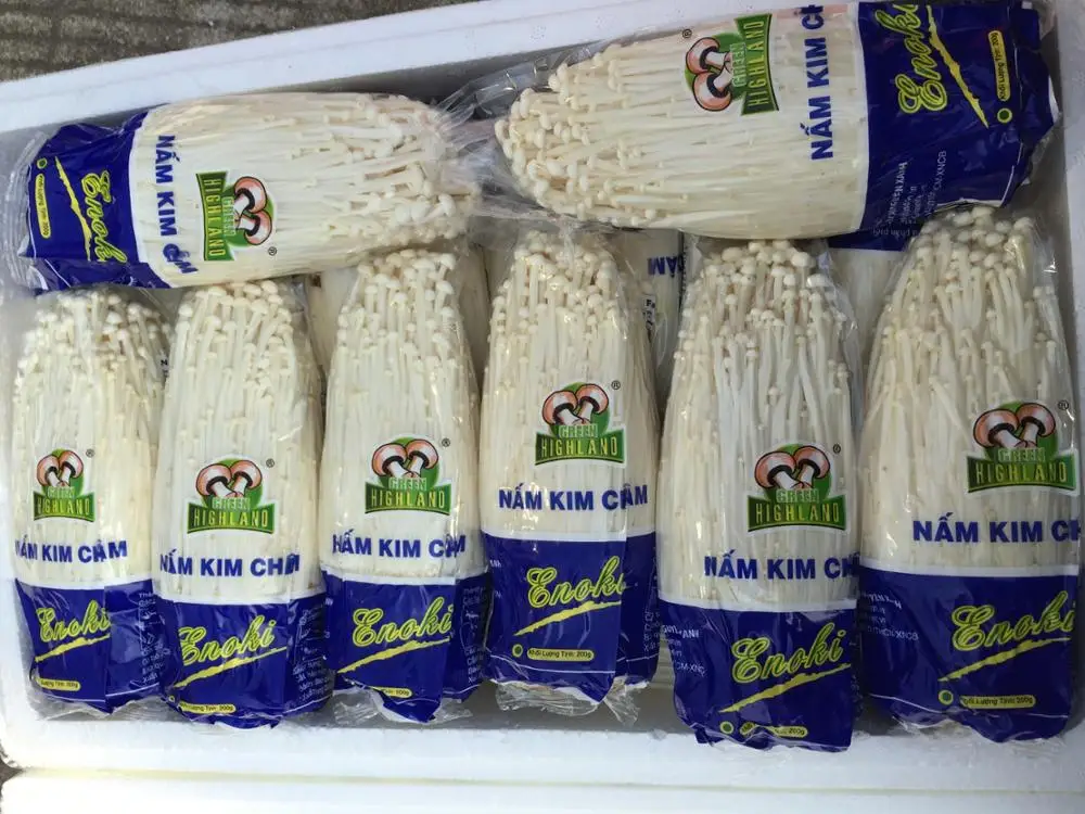 Fresh Enoki Mushroom Origin Jamur Enoki For Sale - Buy Jamur Enoki ...