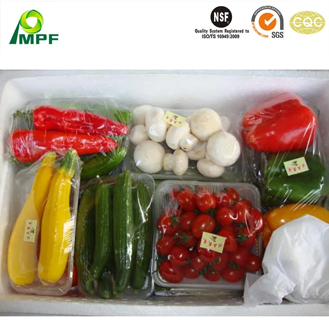 Customized Lightweight Insulating Reusable EPP Foam Plastic Molded Packaging Box