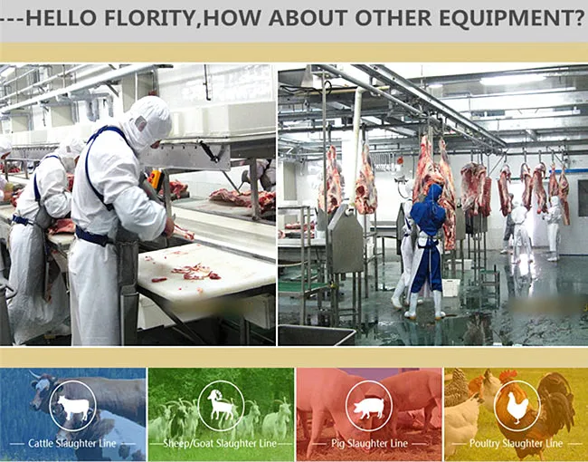 Complete pork slaughtering equipment package for modern slaughterhouse processing line
