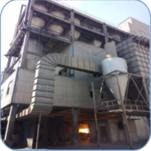 Inner Mongolia Dixing Chemical Co., Ltd. 1