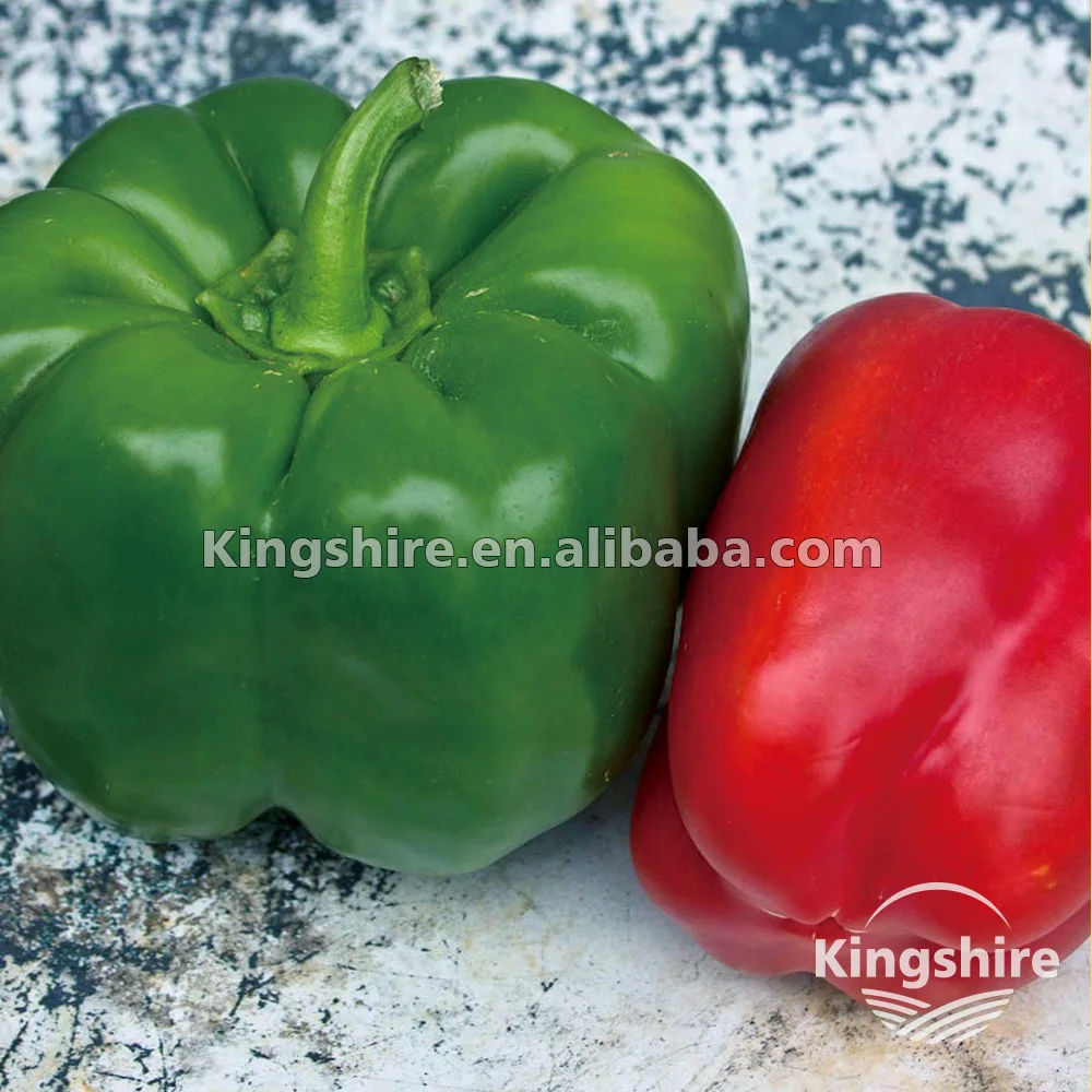 california wonder sweet pepper(capsicum annuum)