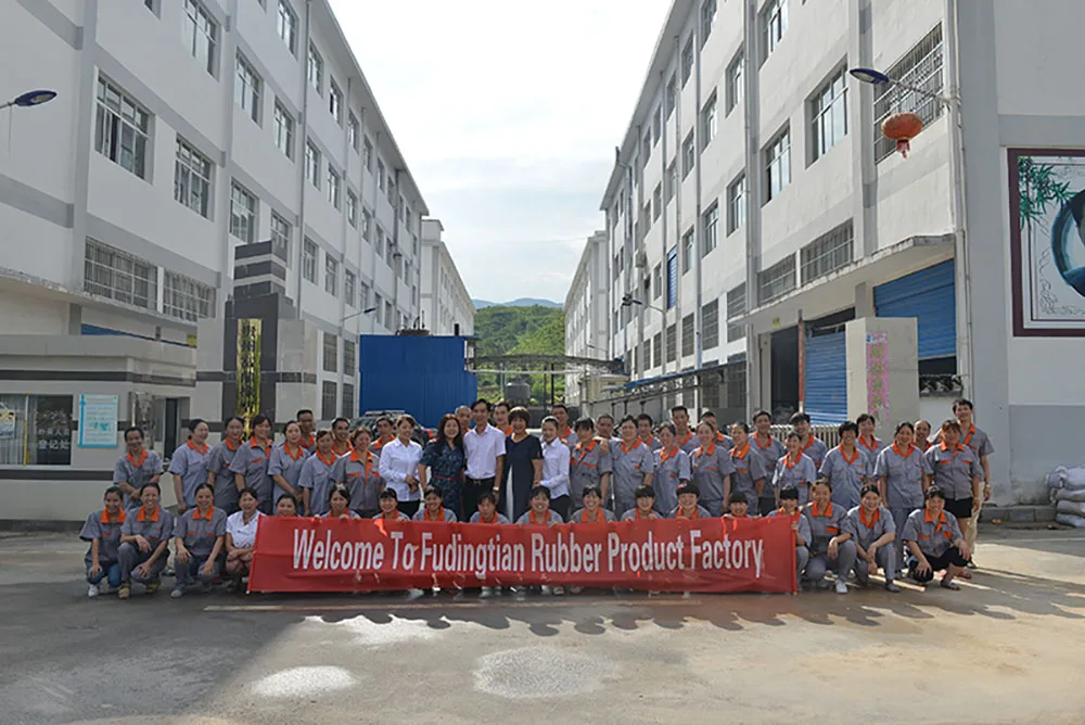 Guizhou Fuding Rubber & Plastic Co., Ltd. 1